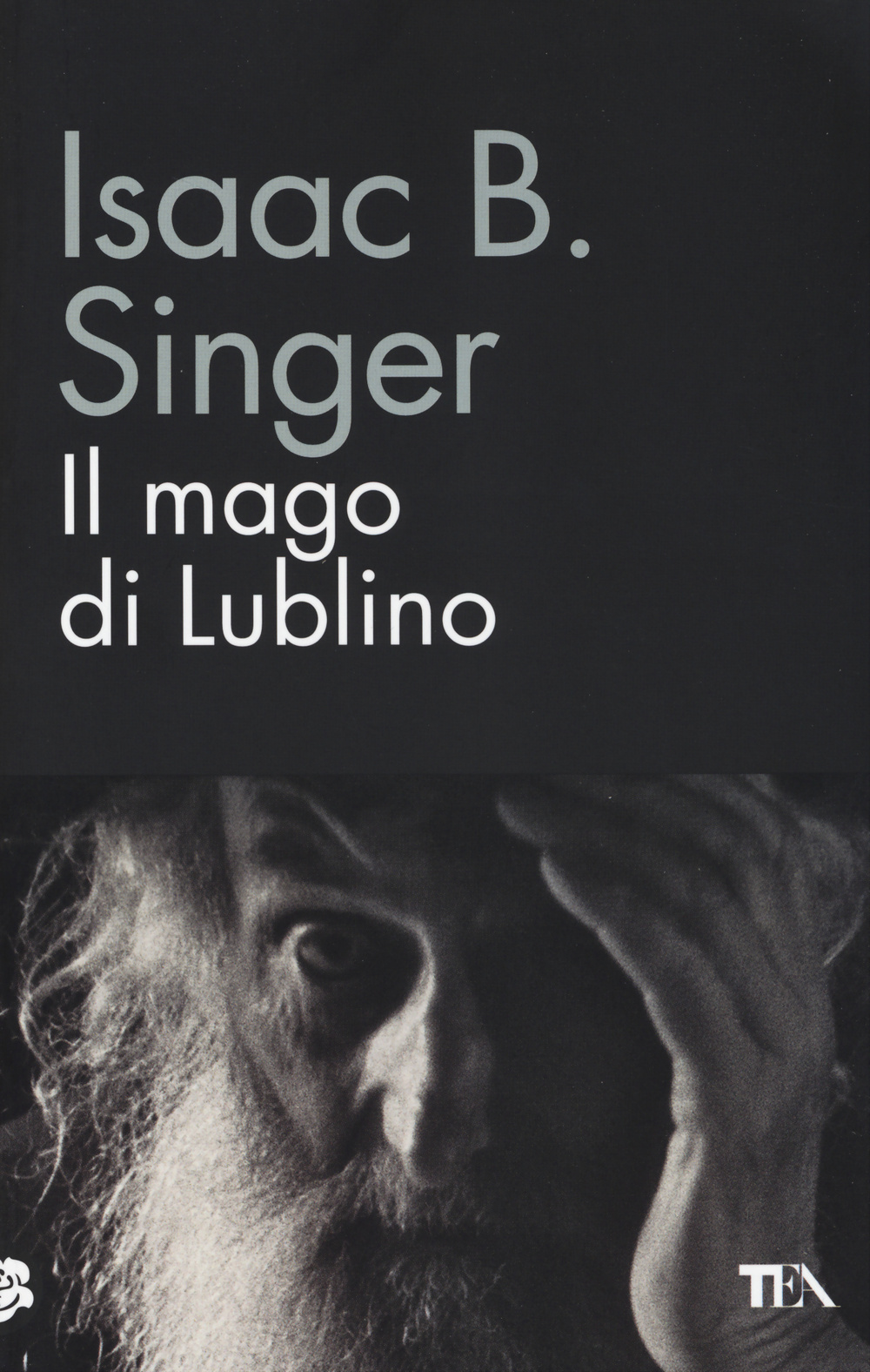 Il mago di Lublino