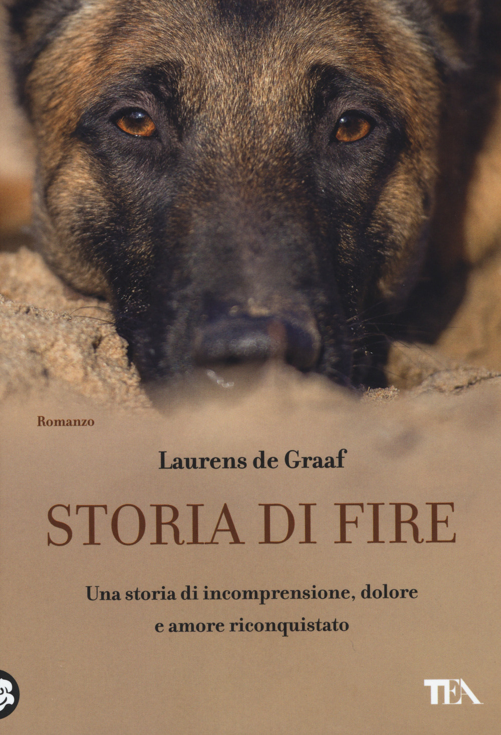 Storia di Fire