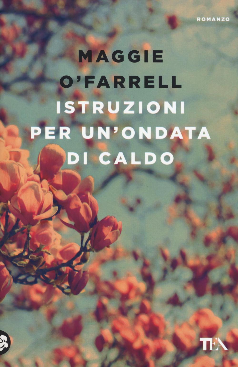 Istruzioni per un'ondata di caldo