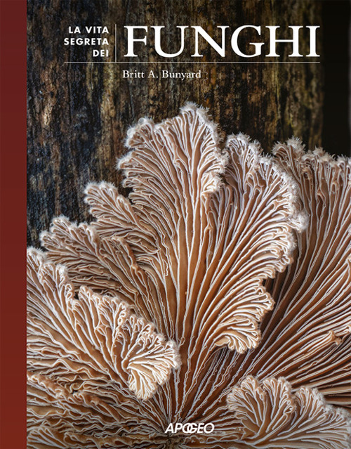 La vita segreta dei funghi