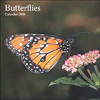 Butterflies. Calendario 2004