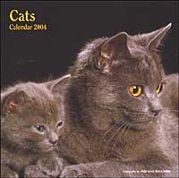 The Cats. Calendario 2004