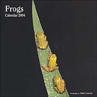 Frogs. Calendario 2004
