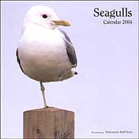 Seagulls. Calendario 2004