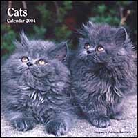 The Cats. Calendario 2004 piccolo