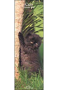 The Cats. Calendario 2004 lungo
