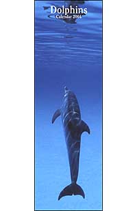 Dolphins. Calendario 2004 lungo