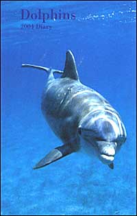 Dolphins. Agenda settimanale 2004 piccola