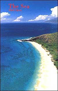 The sea. Agenda settimanale 2004 piccola