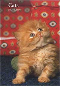 Cats. Agenda 2004