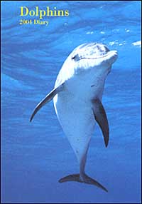 Dolphins. Agenda 2004
