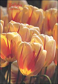 Tulips. Agenda 2004