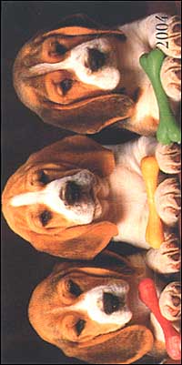 Dogs. Agenda settimanale 2004 orizzontale