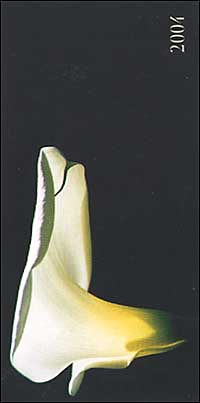 Flowers. Agenda settimanale 2004 orizzontale