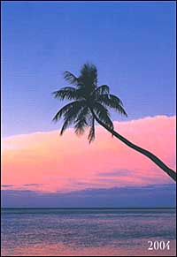 The sea. Agenda settimanale 2004