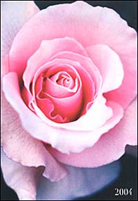 Flowers. Agenda settimanale 2004