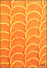 Fruits. Agenda settimanale 2004