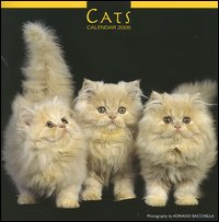 Cats. Calendario 2005