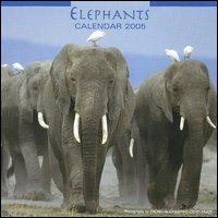 Elephants. Calendario 2005