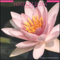 Waterlilies. Calendario 2005