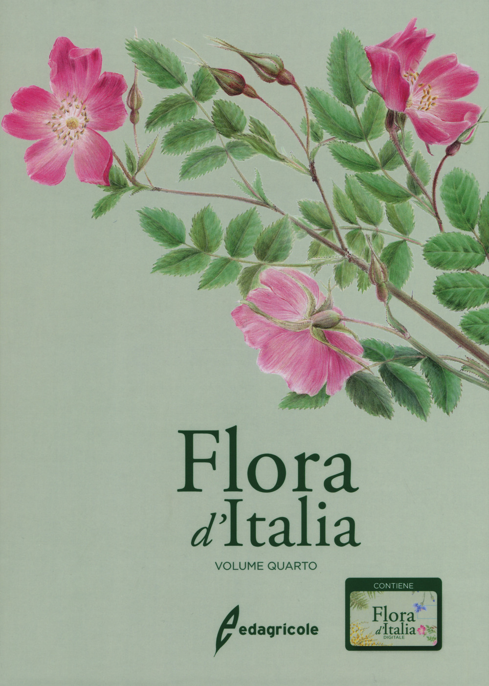 Flora d'Italia. Vol. 4