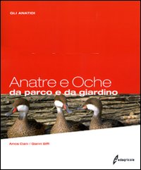 Anatre e oche da parco e da giardino. Gli anatidi