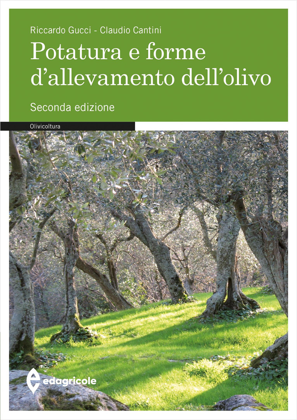 Potatura e forme di allevamento dell'olivo