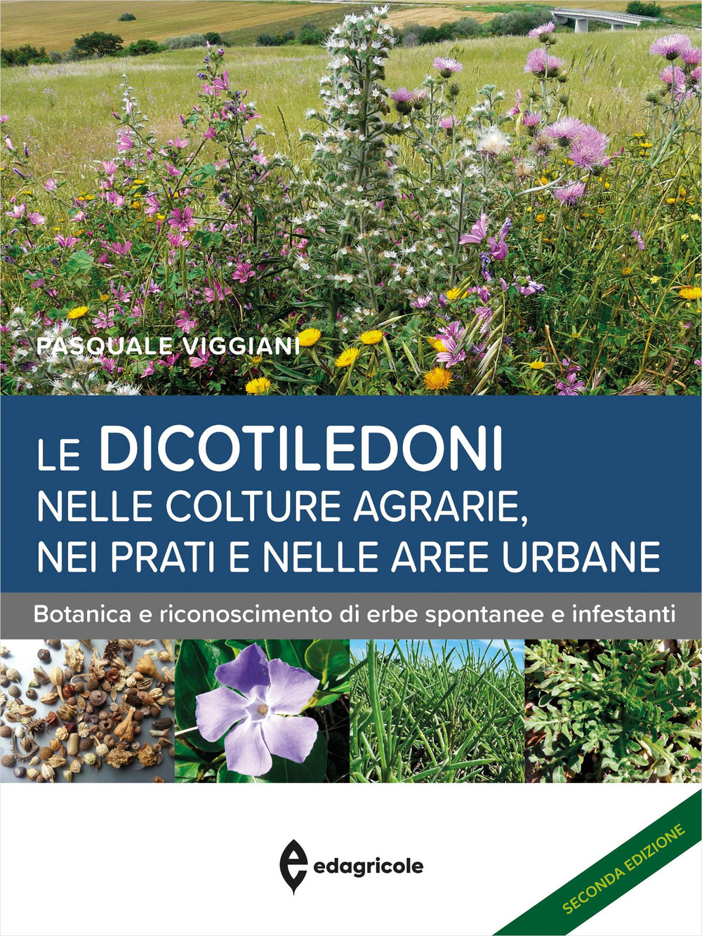 Le dicotiledoni nelle colture agrarie, nei prati e nelle aree urbane. Botanica e riconoscimento di erbe spontanee e infestanti