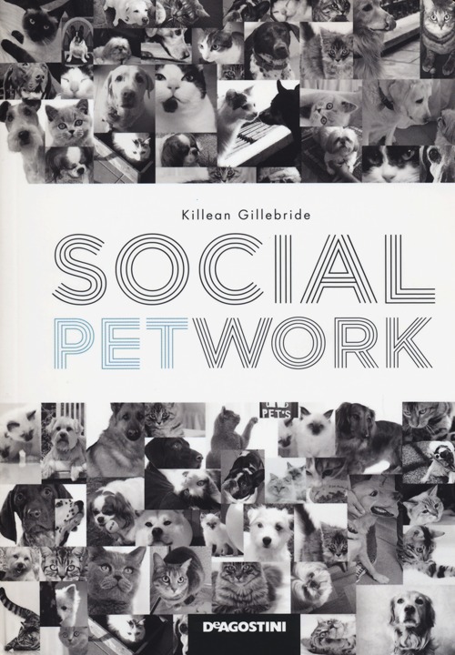 Social Petwork