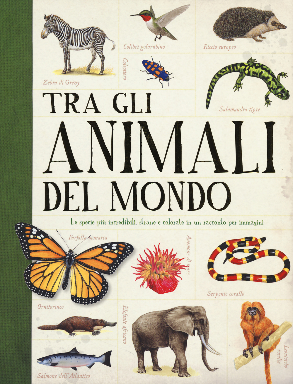Tra gli animali del mondo