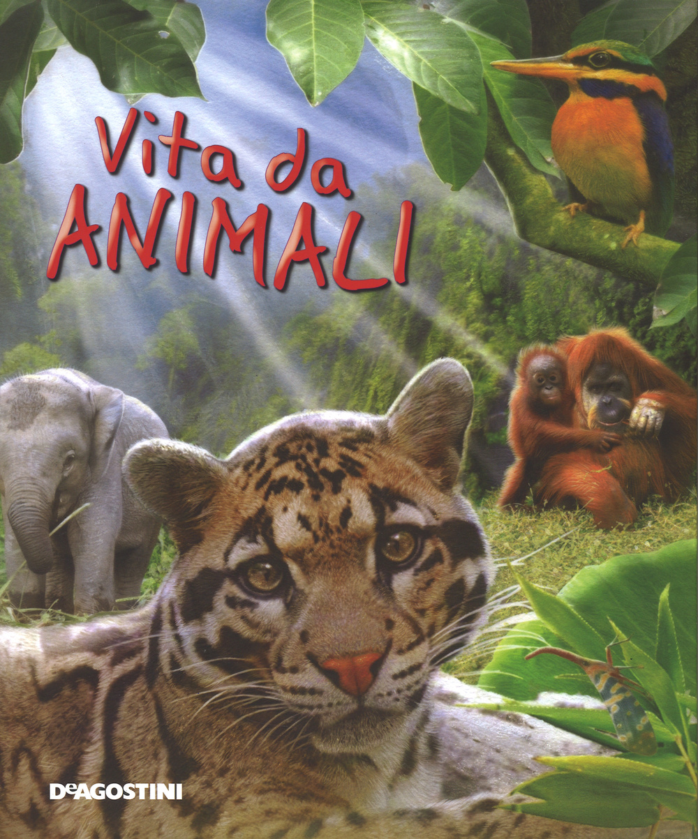 Vita da animali
