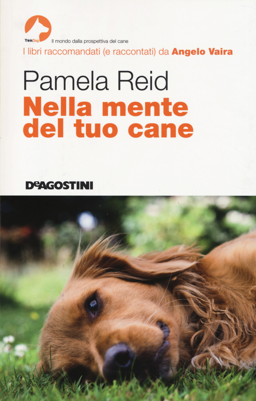 Nella mente del tuo cane