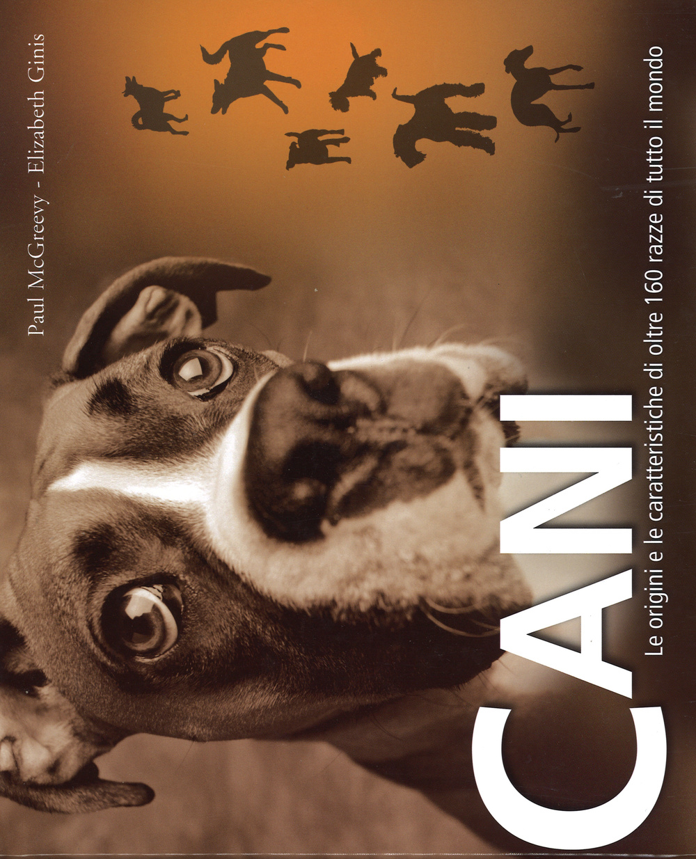 Cani. Le origini e le caratteristiche di oltre 160 razze di tutto il mondo