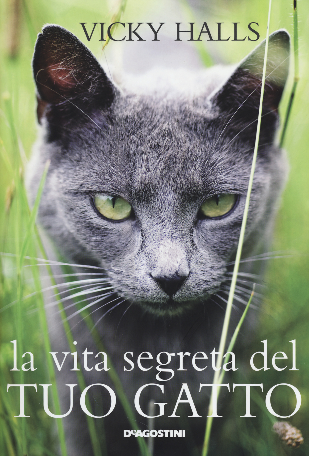 La vita segreta del tuo gatto