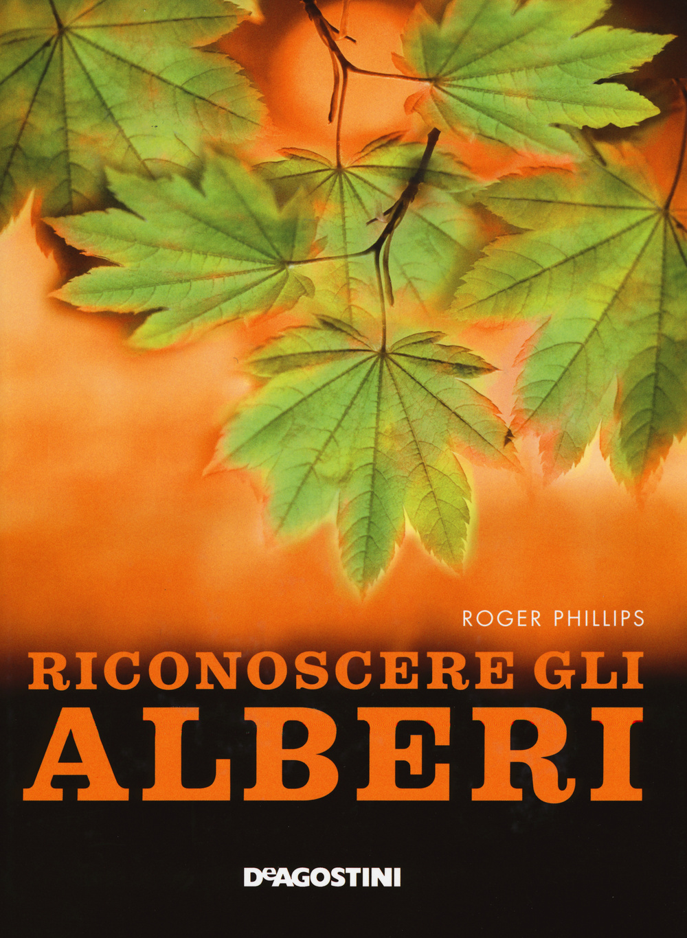 Riconoscere gli alberi