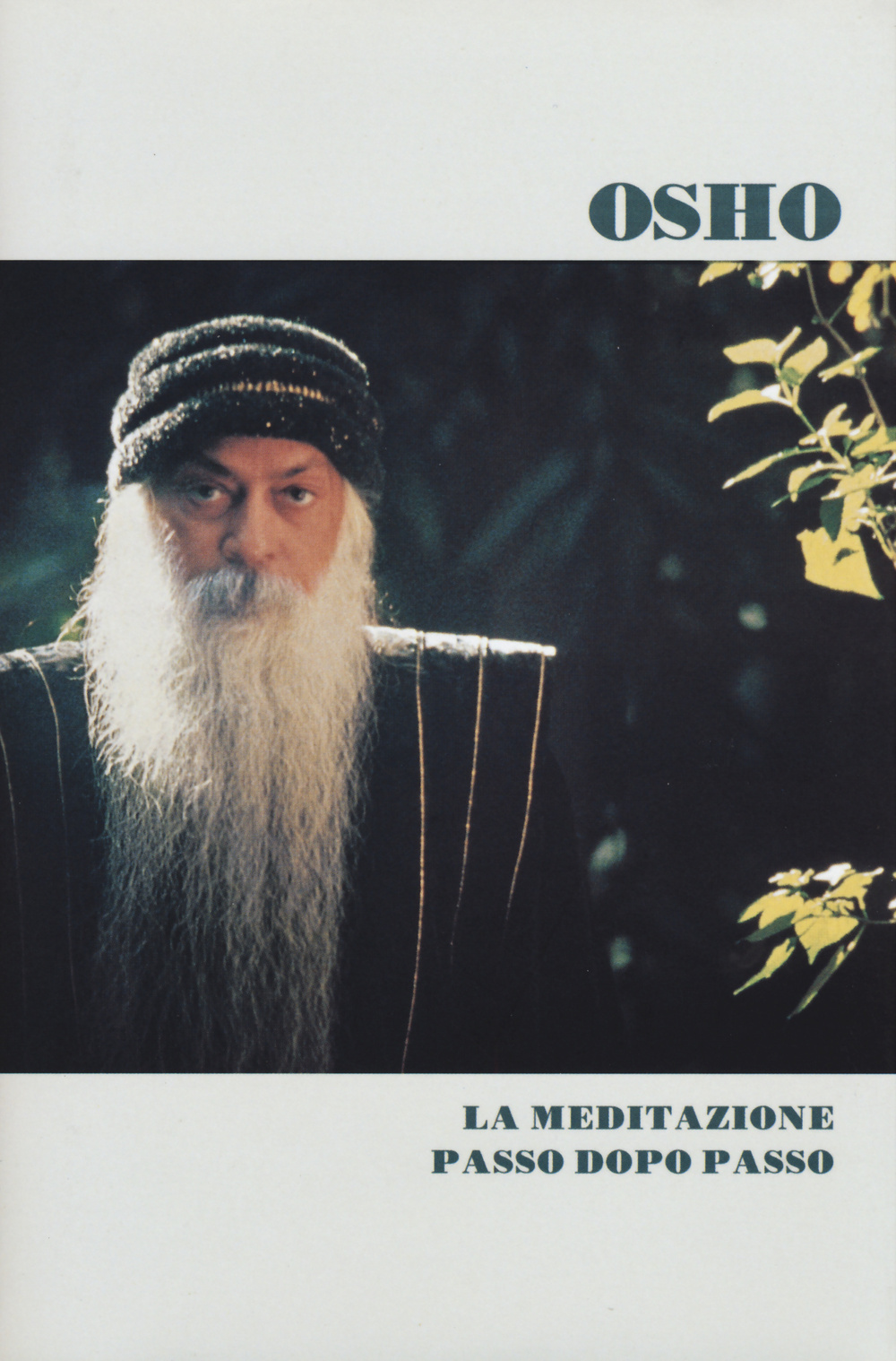 La meditazione passo dopo passo