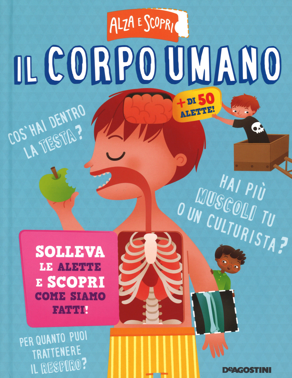 Il corpo umano