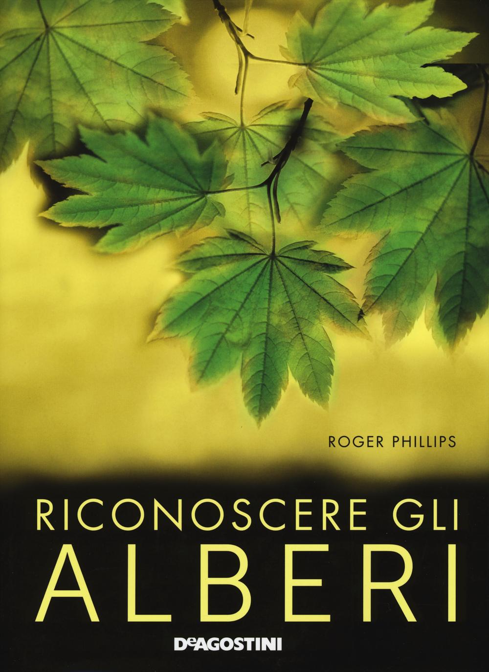 Riconoscere gli alberi