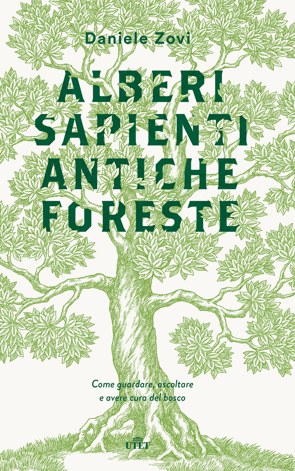 Alberi sapienti antiche foreste. Come guardare, ascoltare e avere cura del bosco