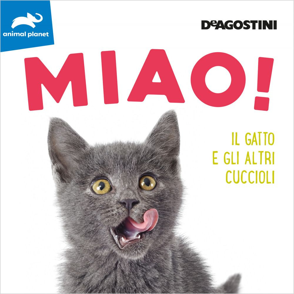 Miao! Il gatto e gli altri cuccioli