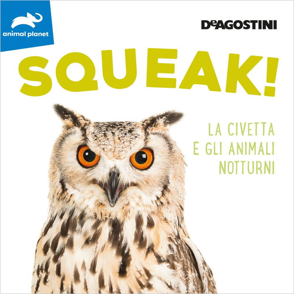 Squeak! La civetta e gli animali notturni