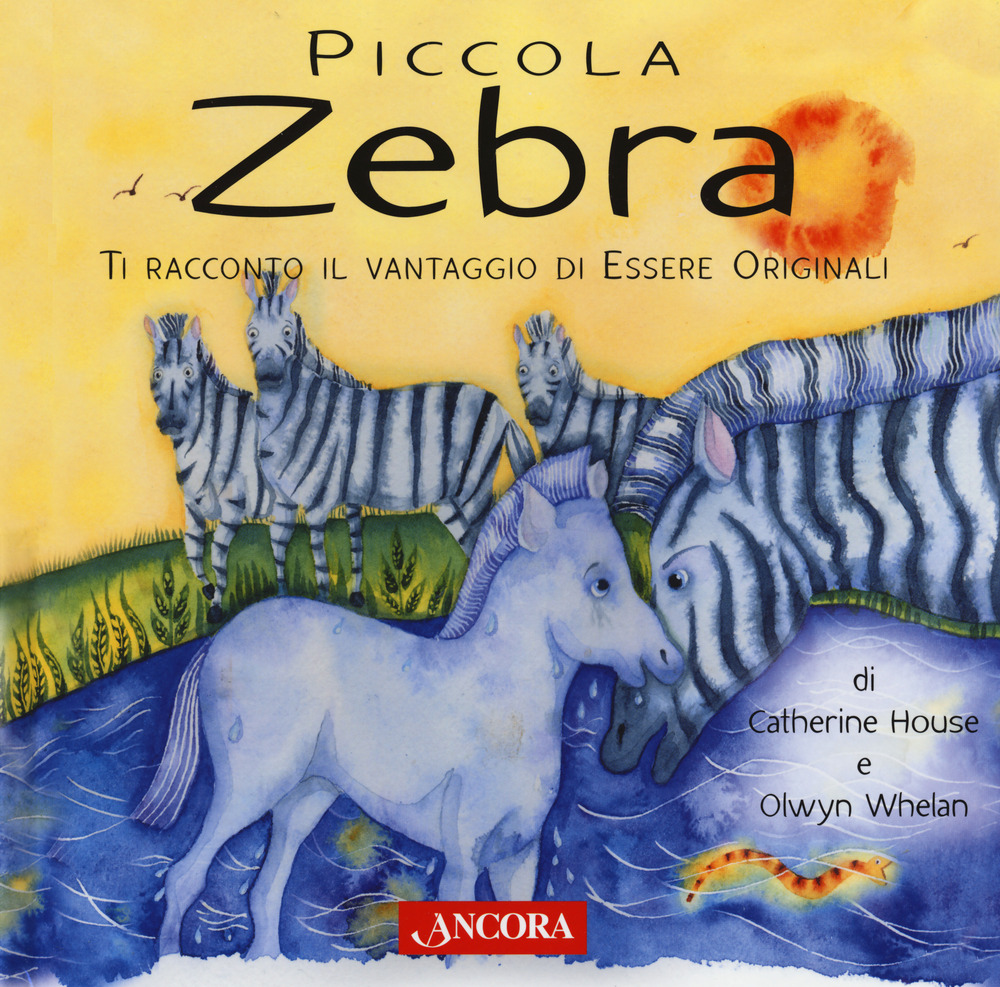 Piccola zebra