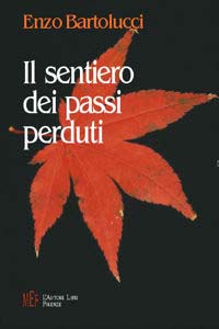 Il sentiero dei passi perduti