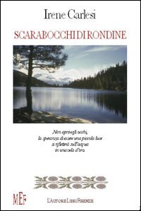 Scarabocchi di rondine