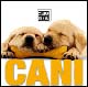 Cani