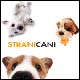 Strani cani