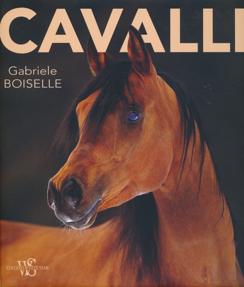 Cavalli