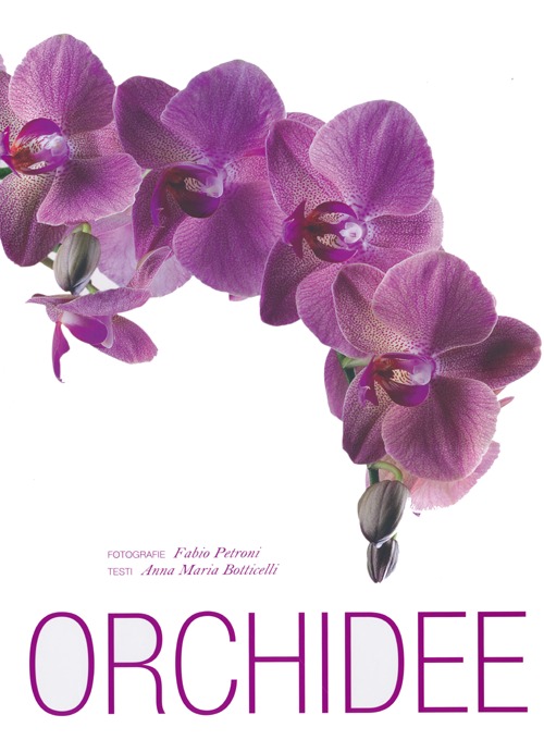 Orchidee