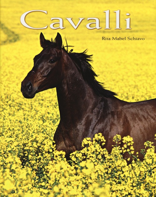 Cavalli
