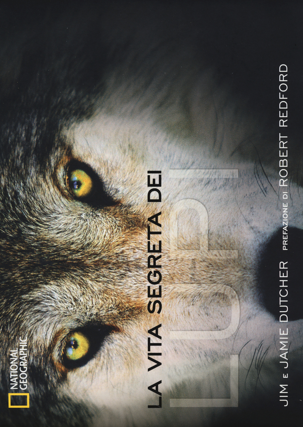 La vita segreta dei lupi